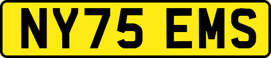 NY75EMS