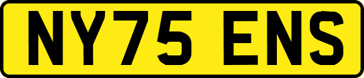NY75ENS