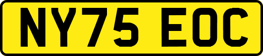 NY75EOC