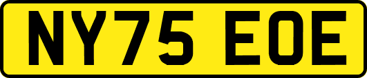 NY75EOE