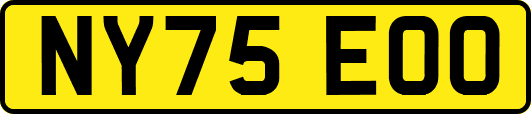NY75EOO