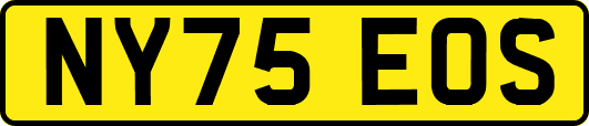 NY75EOS