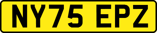 NY75EPZ