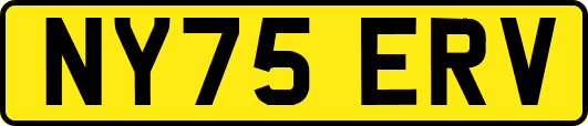 NY75ERV