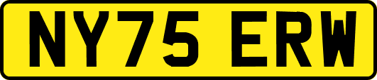 NY75ERW