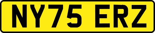 NY75ERZ