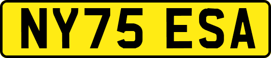 NY75ESA