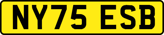 NY75ESB