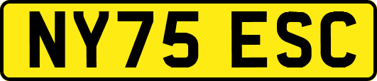 NY75ESC