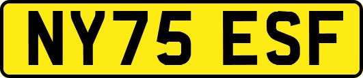 NY75ESF