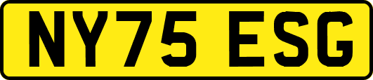 NY75ESG