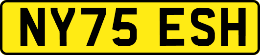 NY75ESH