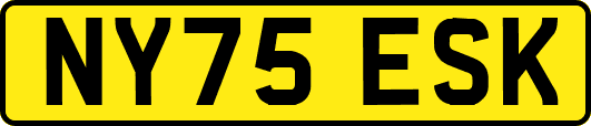 NY75ESK