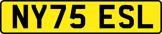 NY75ESL