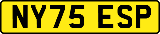 NY75ESP