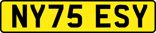 NY75ESY