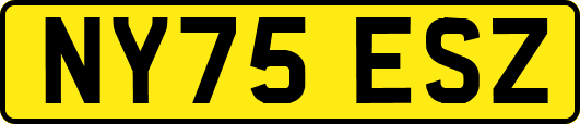 NY75ESZ