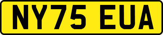 NY75EUA