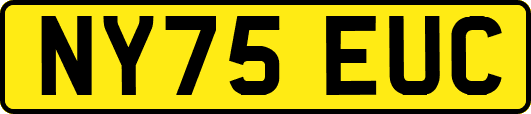 NY75EUC