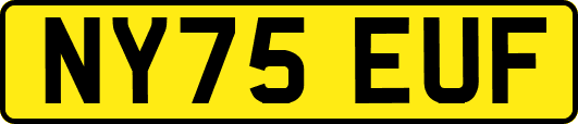 NY75EUF
