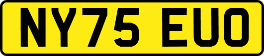NY75EUO