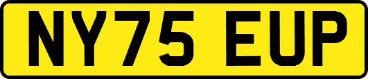 NY75EUP
