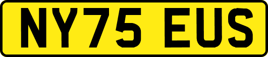 NY75EUS