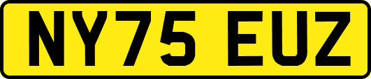 NY75EUZ