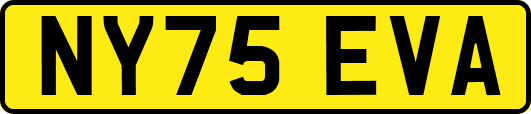 NY75EVA