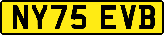 NY75EVB