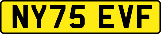 NY75EVF
