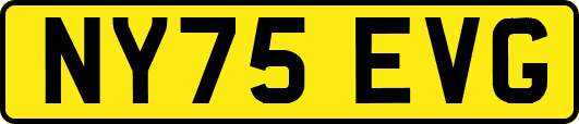 NY75EVG