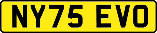 NY75EVO