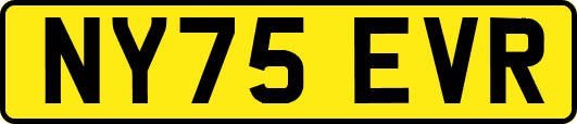 NY75EVR