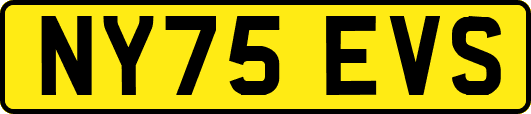 NY75EVS