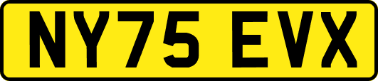 NY75EVX
