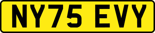 NY75EVY