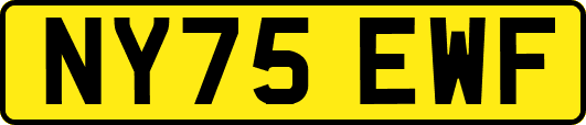 NY75EWF