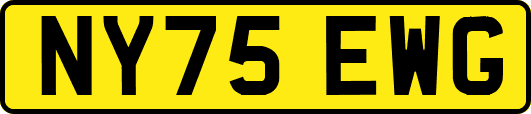NY75EWG
