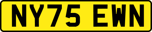 NY75EWN