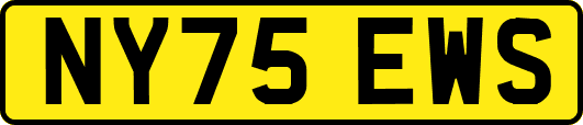 NY75EWS