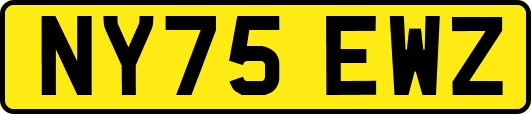 NY75EWZ