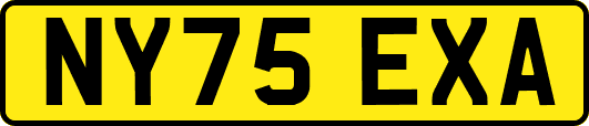 NY75EXA