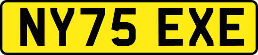 NY75EXE