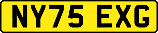 NY75EXG