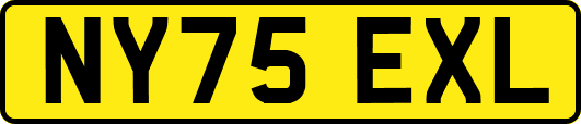 NY75EXL