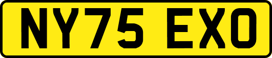 NY75EXO
