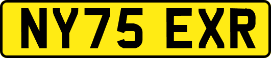NY75EXR