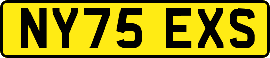 NY75EXS