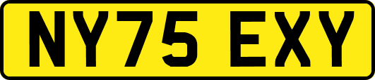 NY75EXY